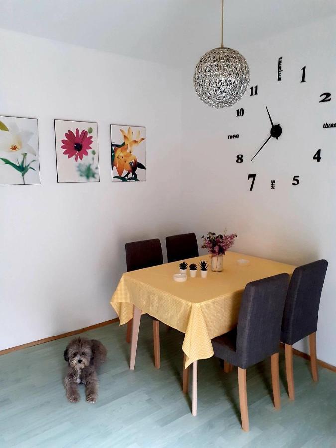 Apartman Danube โนวีซาด ภายนอก รูปภาพ